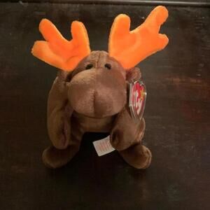 🍁Ty beanie babies Chocolate the Moose DOB 4/27/93